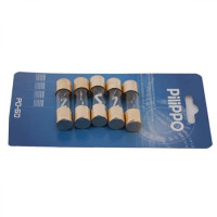 Pilippo PI-60 5'Li Oto Cam Sigorta İçi